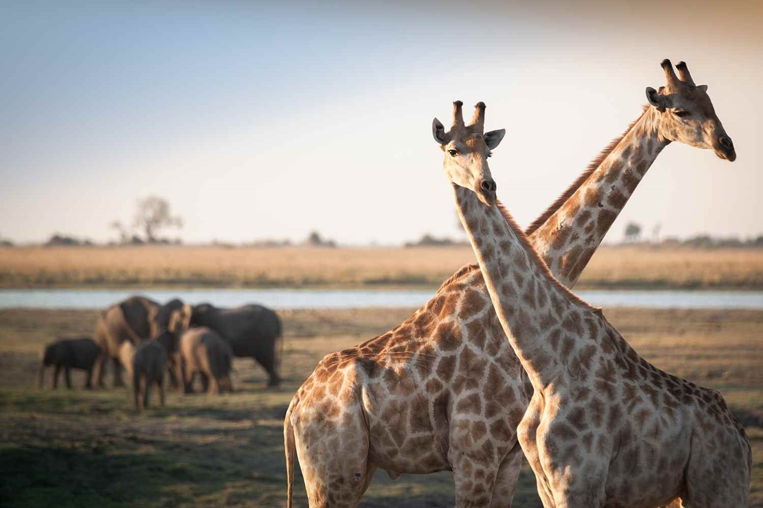 AmaWaterways River Cruises - Africa