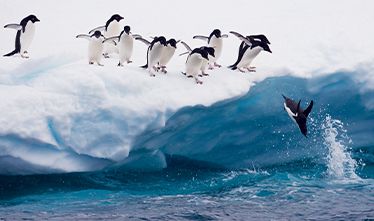 Seabourn Expeditions - Antarctica