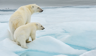Seabourn Expeditions - Arctic