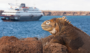 Silversea - Galapagos