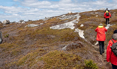Hurtigruten Expeditions - North America