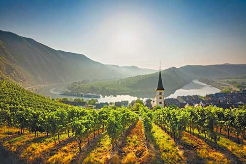 Scenic River Cruises - Rhine
