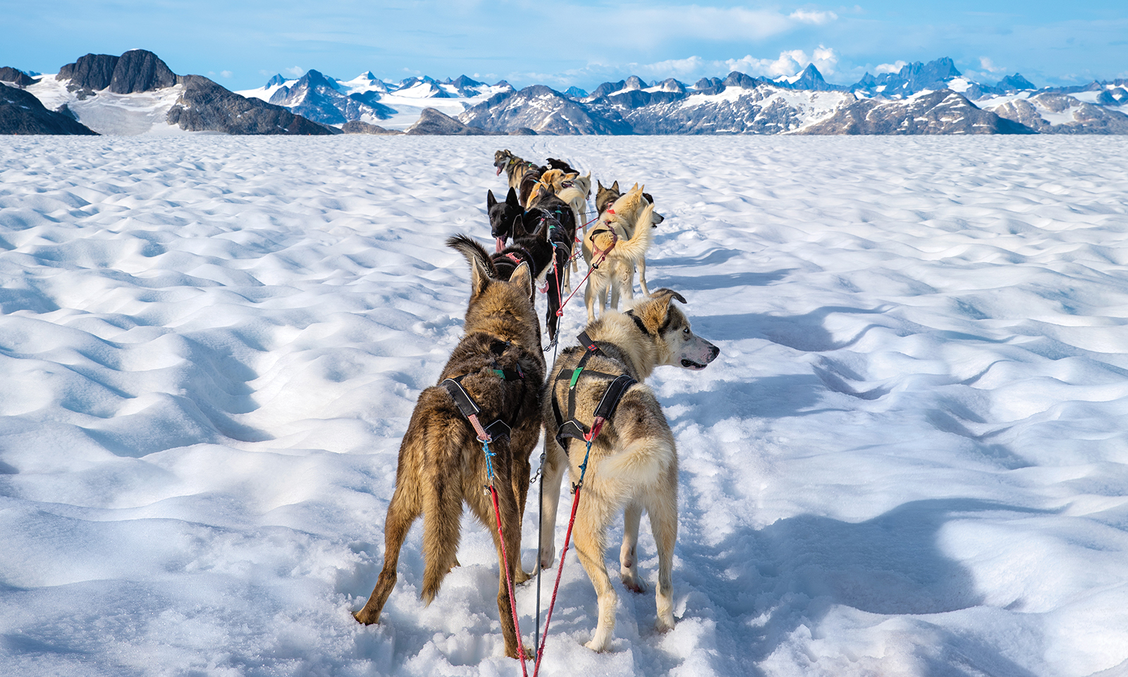 Alaska Cruises