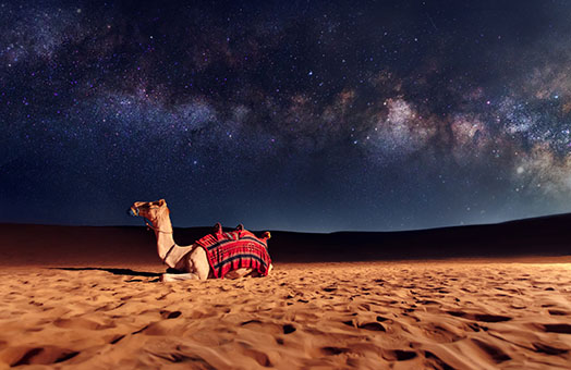 Middle East Cruises