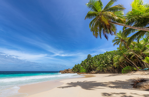 Caribbean Cruises