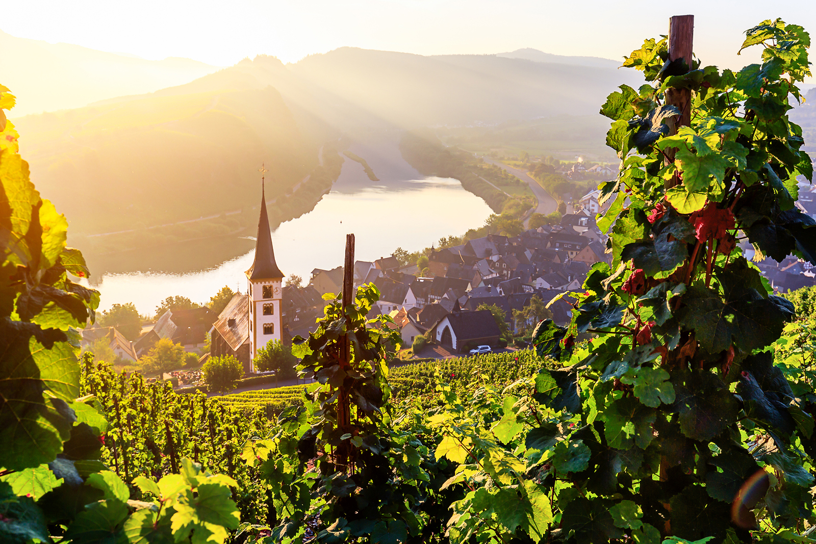 Moselle River