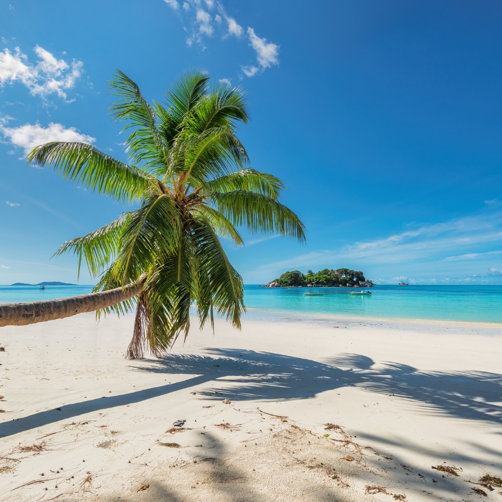 Caribbean Cruises