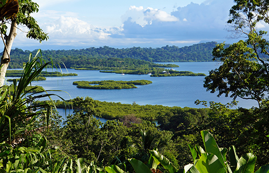 Panama Canal Cruises