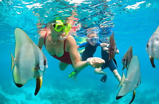 Southern Caribbean Cruises