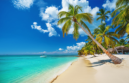 Caribbean Cruises